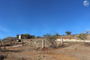 Terrain_a_vendre_avenir_21