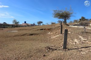 Terrain_a_vendre_avenir_21