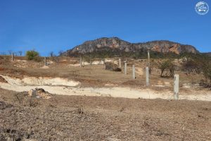 Terrain_a_vendre_avenir_21
