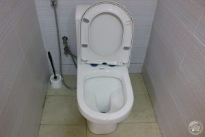 img 4732
